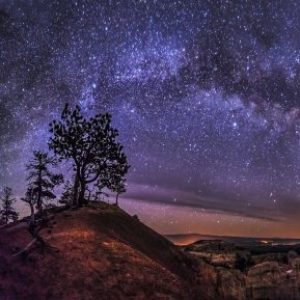 Profile photo of Tersha Ungerer