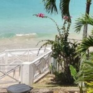 Profile photo of Tasneem Aboobakar